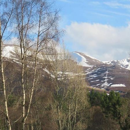Pine Marten Bar Glenmore Pods Aviemore Exterior foto