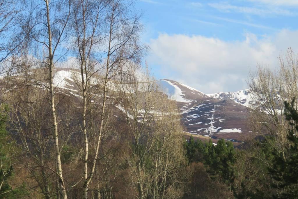 Pine Marten Bar Glenmore Pods Aviemore Exterior foto